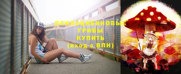круглые Аркадак